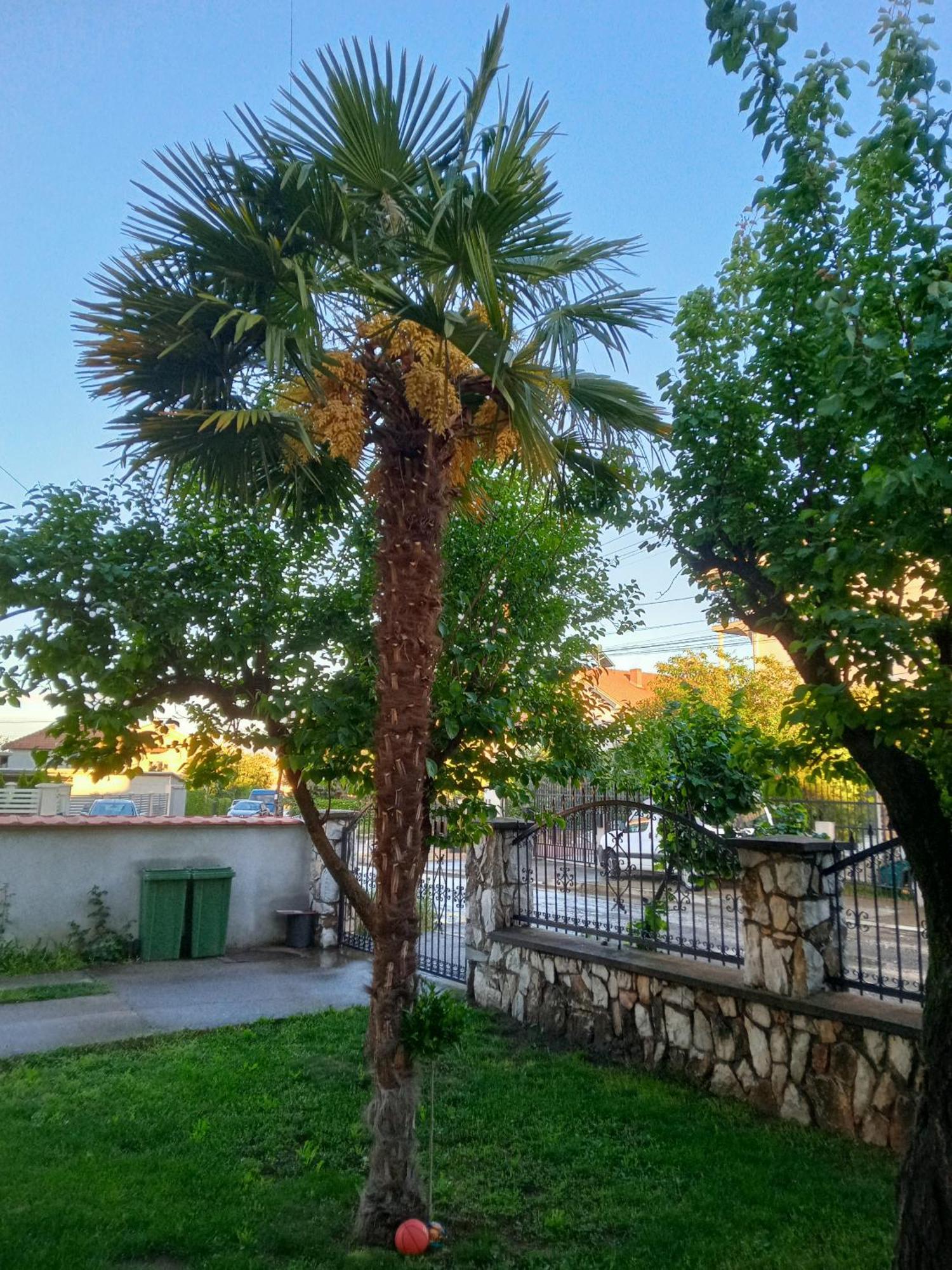 Apartman Zafirovi Gyevgyelija Kültér fotó